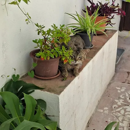 Casa Balcon Holiday home *